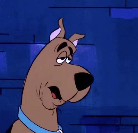 Scooby Doo Meme Ruh Roh