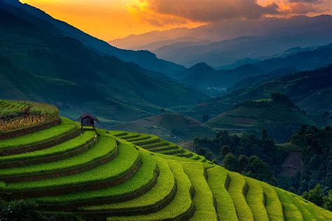 Landscape photography of Rice Terraces HD wallpaper | Wallpaper Flare