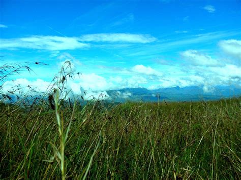 June 16 (Friday) Declared As A Non-Working Holiday In La Trinidad, Benguet