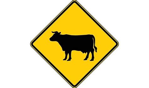 Cattle Crossing Symbol Sign SIGN-77 - - Barco Products