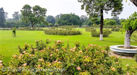 Rose Garden, Chandigarh - A must explore place in city beautiful | PHOTO JOURNEY | Rose garden ...