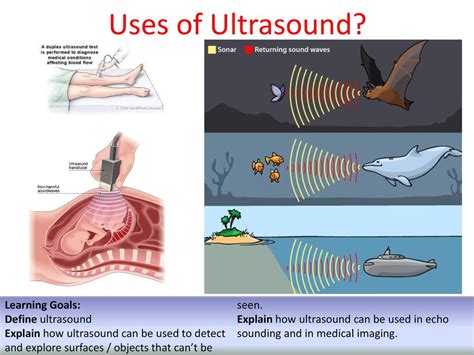 Sound intensity, Factors affecting Sound intensity and Applications of ...