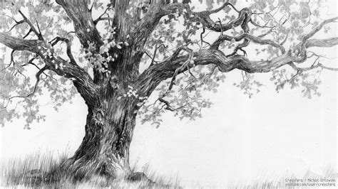 Oak tree - tutorial by micorl on DeviantArt