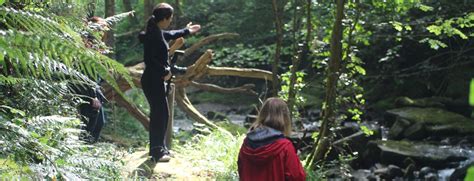 Pin by Kinnitty Castle Hotel on Slieve Bloom Walks | Waterfall, Loop, Bloom