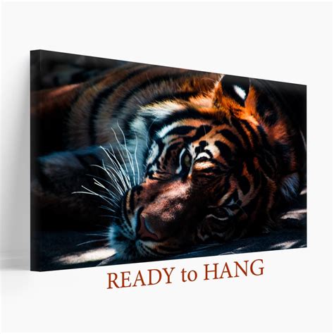 Tiger Canvas Print, Tigers Wall Art, Tiger Print, Tiger Canvas Art - Etsy