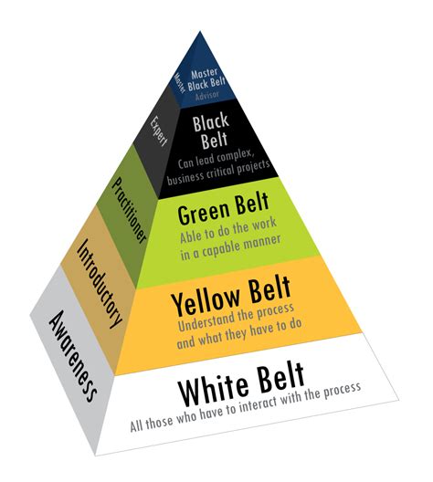 Belt Up! Which Lean Six Sigma Belt Levels are right for you? | PMI