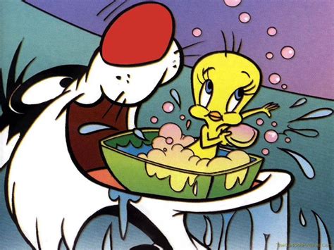 Cartoon Pictures: Tweety and sylvester pictures