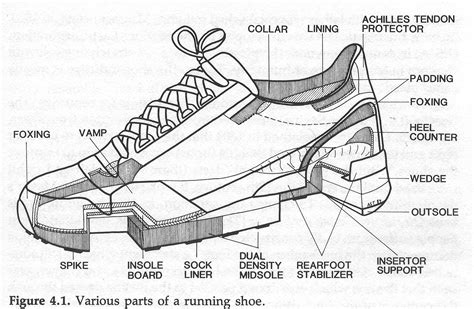 anatomyofashoe