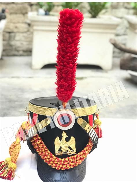 French napoleonic Army Shako Of Young Guard infantry