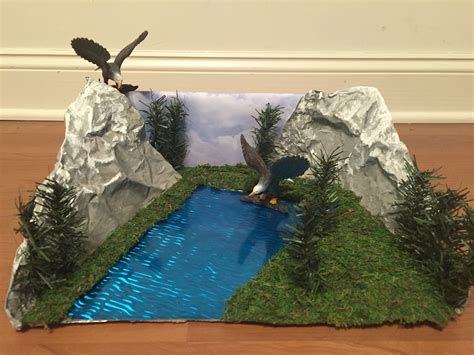 Bald Eagle Habitat Diorama First Grade Projects, School Projects, Projects For Kids, Diorama ...