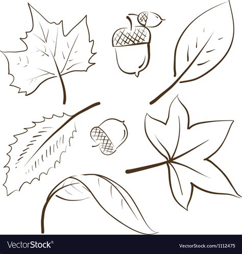 Doodle autumn fall leaves acorn Royalty Free Vector Image