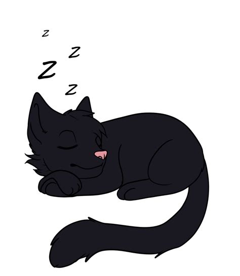 Black Cat Sleeping