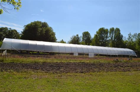 Crop Tunnel for Grower Greenhouses | The Greenhouse Company