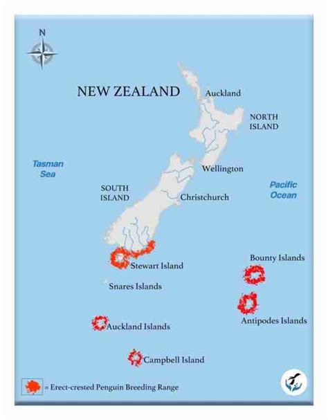 Erect-crested Penguin range map | Penguins International