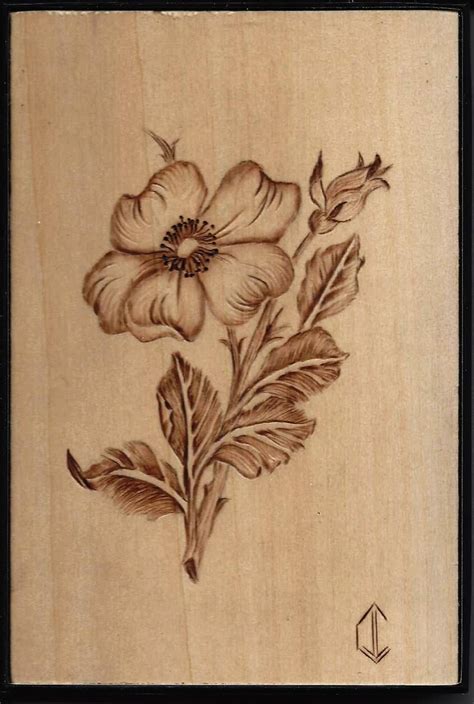 Pyrography wood burning woodburning - flower | Pyrography | Pinterest ...