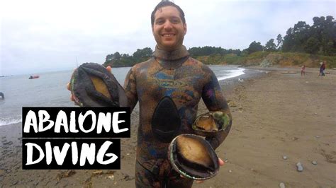 Abalone Diving - Mendocino California - YouTube