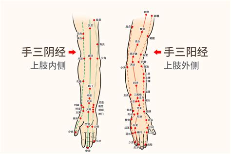 手臂6条经络高清对应图_39健康网