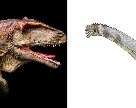 Carcharodontosaurus Vs. Paralititan: When The Speed Wins