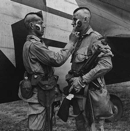 History of the 101st Airborne Division - Wikipedia