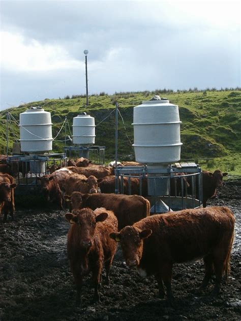 Automatic cattle feeder © Patrick Mackie cc-by-sa/2.0 :: Geograph Britain and Ireland