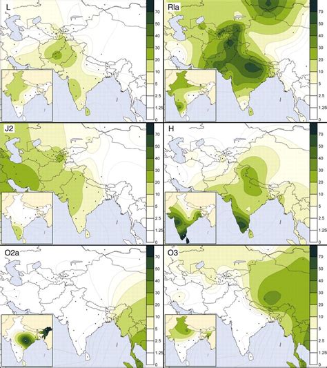 Male haplogroups of India - % share in overall population | Infographic map, Human migration, India