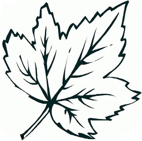 Free Maple Leaf Outline, Download Free Maple Leaf Outline png images ...