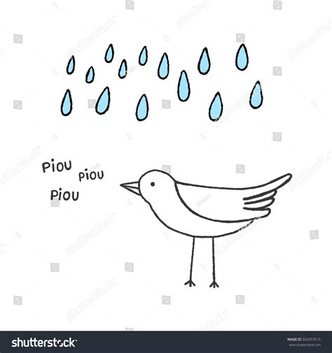 Bird Singing Rain Hand Drawn Vector Stock Vector (Royalty Free) 502057615 | Shutterstock