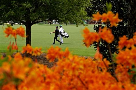 Masters: Best nature shots of Augusta National Golf Club