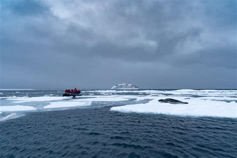 Antarctica Cruises & Travel Expeditions | Aurora Expeditions