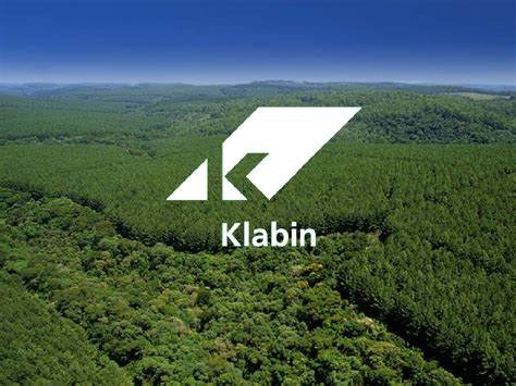 Preocupações com a Klabin (klbn4 klbn11) Fazem Sentido? - SmallCaps.com.br