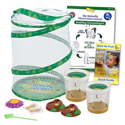 Life Cycle Lessons Bundle | Live Caterpillars & Ladybug Larvae - Insect Lore