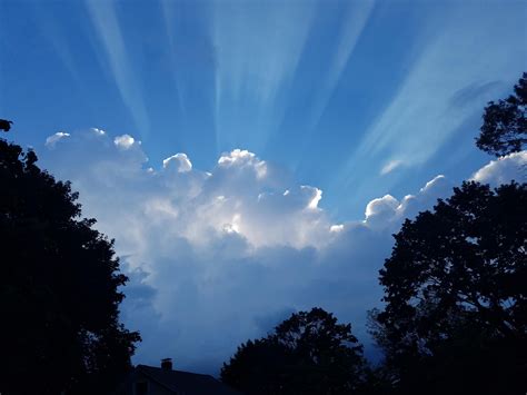 Early evening sky | Evening sky, Clouds, Sky