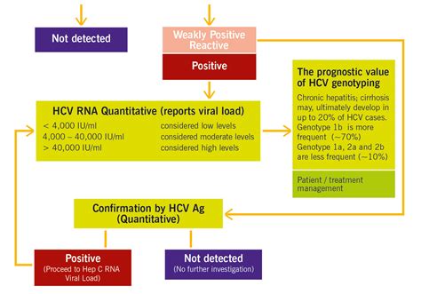 Hepatitis C antibodies information | The Doctors Laboratory