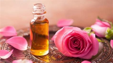 The Incredible Benefits of Bulgarian Rose Oil — Her Culture