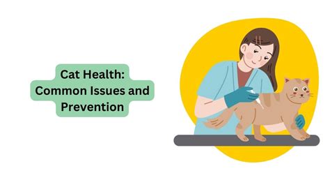 Cat Health: 11 Common Issues and Prevention | Waggle®