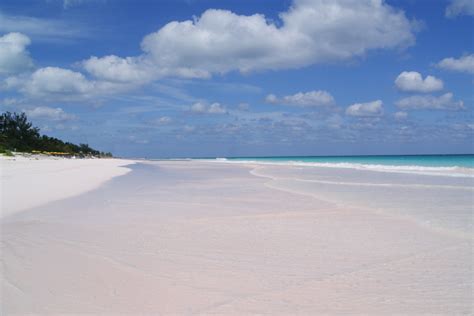 Ultimate Travel Guide to Pink Sands Beach Bahamas