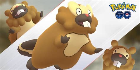 Pokemon GO: Which Bidoof Research Path to Choose