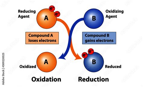 Science diagram of Oxidation and Reduction in loss and gain of electrons in compounds. Showing ...