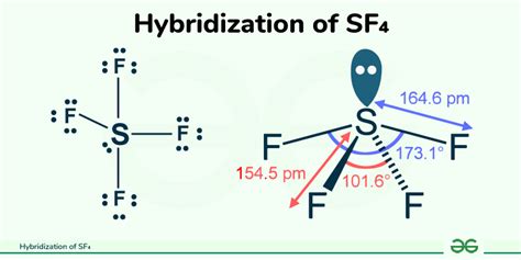 Hybridization of SF4(Sulfur Tetrafluoride): Properties & Bond Angle