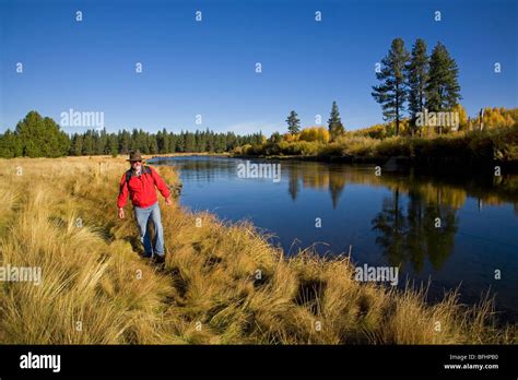 A hiker along the Deschutes River Trail in October autumn near Bend, Oregon Stock Photo - Alamy