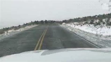 Huge Elk Herd Crosses Highway in Washington State | The Weather Channel