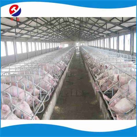 China Quality Assurance Pig Fattening/Pig Pen Design/Pig Pen PVC Panel ...