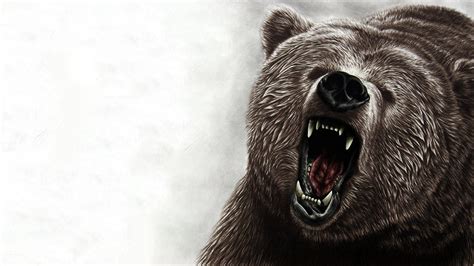 View 12 Grizzly Bear Hd Wallpaper - quoteqrecent