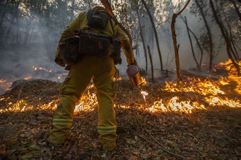 Cost of damage from California wildfires exceeds $1bn and is likely to rise 'dramatically'