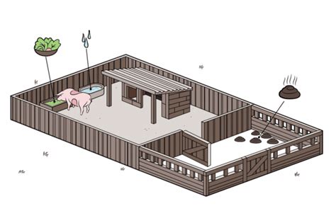 Chiqueiro | Pig pen, Pig farming, Pig shelter