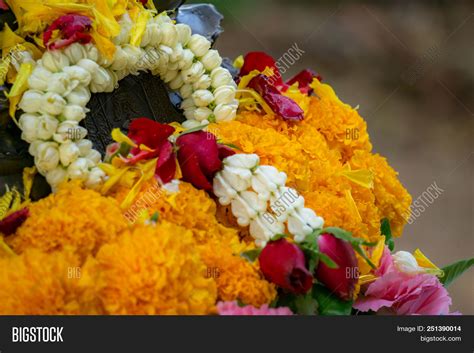 Flower Garland Image & Photo (Free Trial) | Bigstock