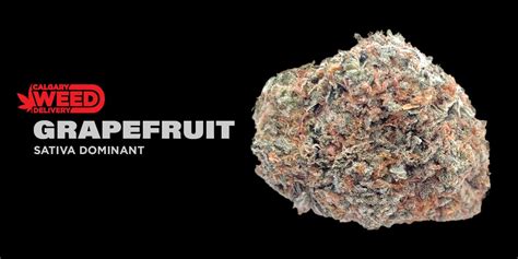 Buy Grapefruit Online In Calgary - Calgary Weed Delivery