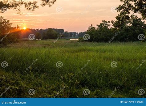 Swedish Countryside stock photo. Image of sunset, summer - 46317992