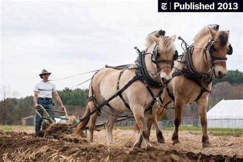 Horses as Farm Equipment - The New York Times