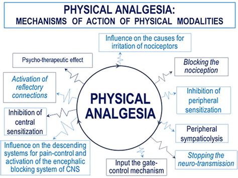 Physical Analgesia: Methods, Mechanisms and Algorithms for Post ...